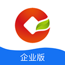 网飞猫 